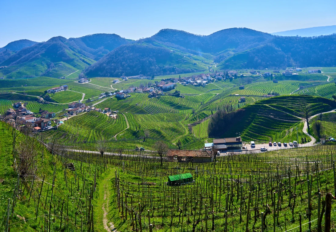 Europäische Weinlandschaft mit Rebhängen, Höfen und Wegen